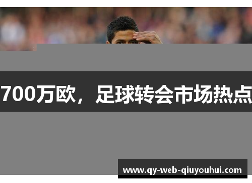 700万欧，足球转会市场热点